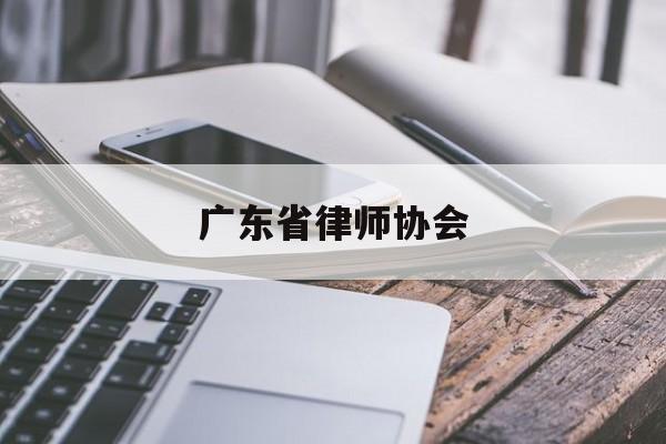 广东省律师协会(广东省律师协会会长肖胜方简历)